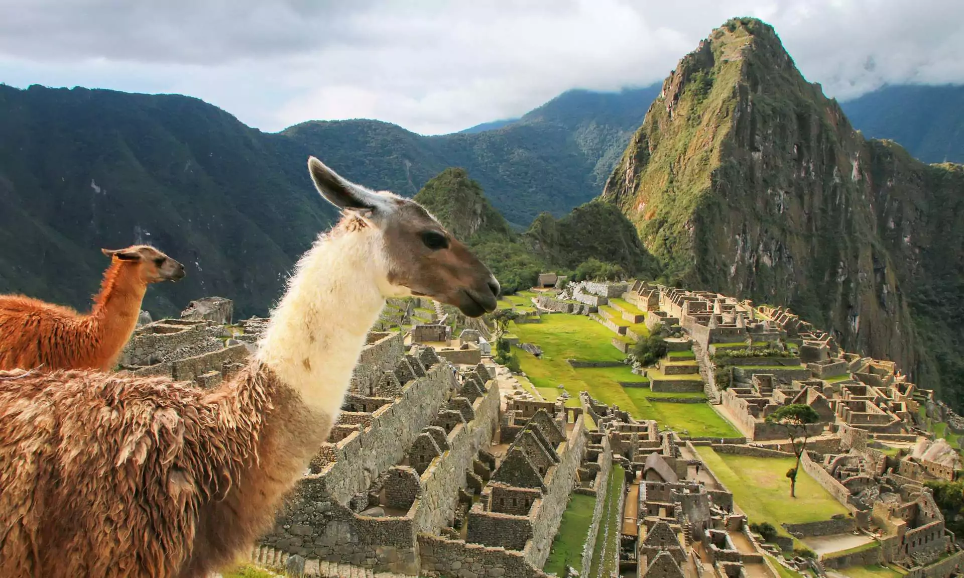 Inca Trails to Machu Picchu